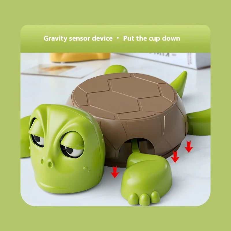 Turtle Coaster Desktop Decor